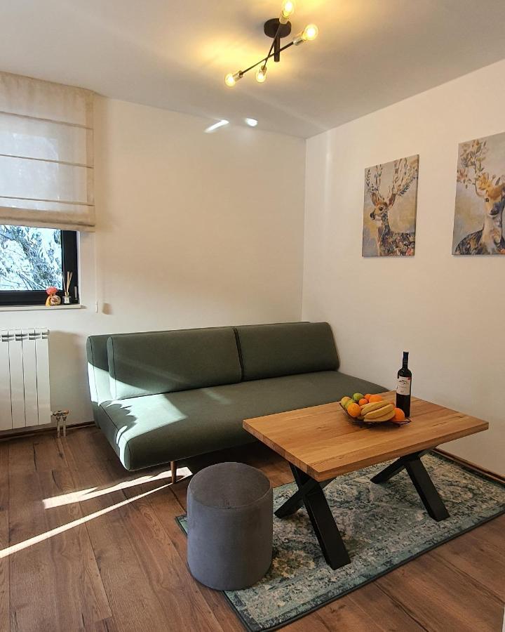 Jahorina Villa In 外观 照片